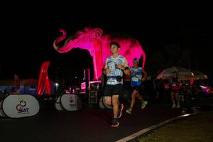 BIB: 
                            <button type="button" onclick="openModal(26543830)" class="btn btn-primary btn-sm float-right btn-popup" data-toggle="modal" data-target=".modal-high-quality">
                        <i class="fas fa-shopping-cart"></i> Add to Cart
                    </button>
                                            <button type="button" onclick="isThisMe(26543830, true)" class="btn btn-success btn-sm float-right btn-popup btn-isme hidden" data-toggle="tooltip" data-placement="bottom" title="นี่คือรูปของคุณใช่ไหม คลิกที่นี่เพื่อเอาเข้าอัลบั้ม">
                        <i class="fas fa-plus"></i> Add to album
                    </button>
                    <button type="button" onclick="isThisMe(26543830, false)" class="btn btn-warning btn-sm float-right btn-popup btn-isnotme hidden">
                        <i class="fas fa-ban"></i> Remove from album
                    </button>